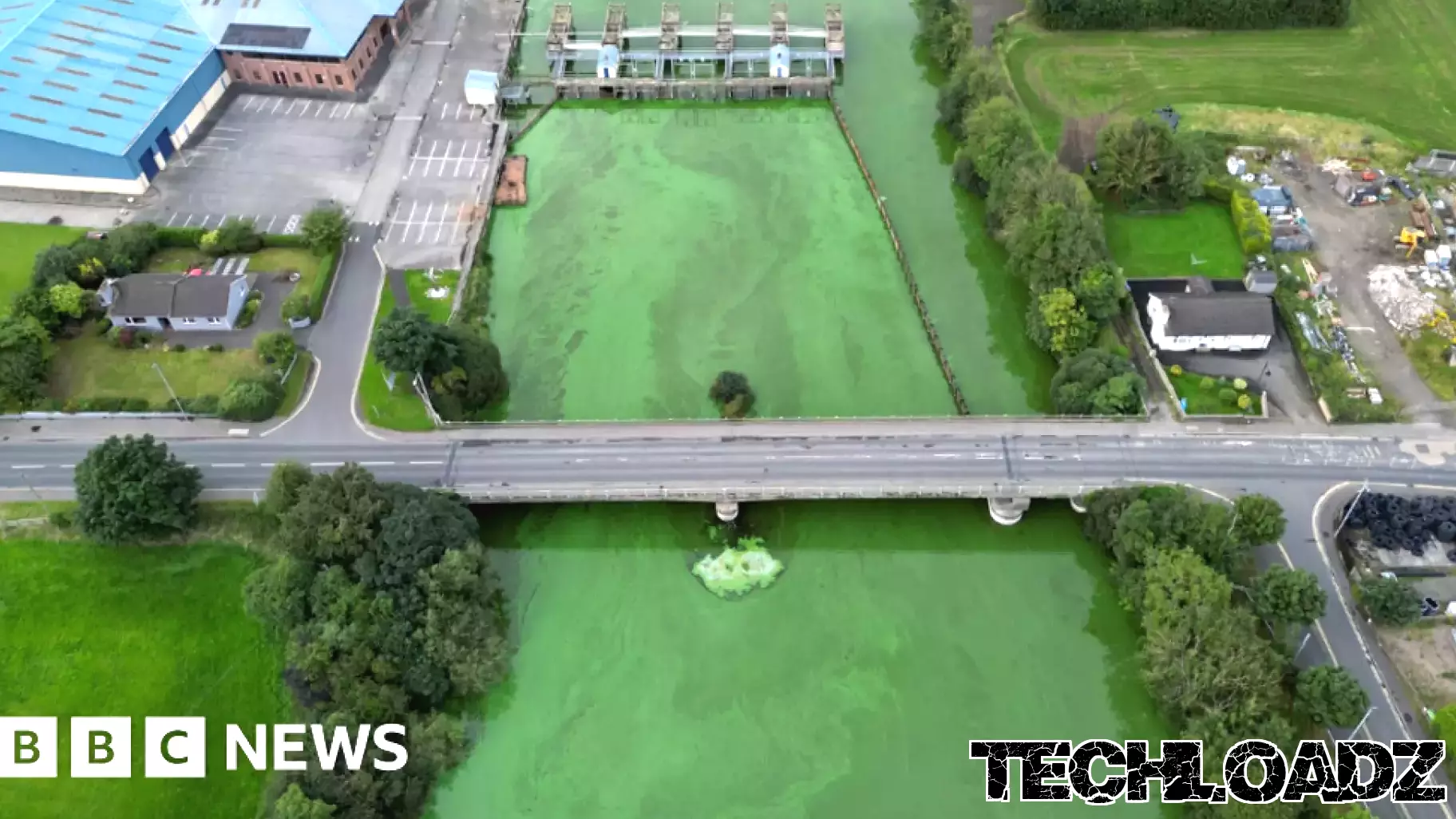 Funding Granted for Innovative Monitoring of Blue-Green Algae in Waterways