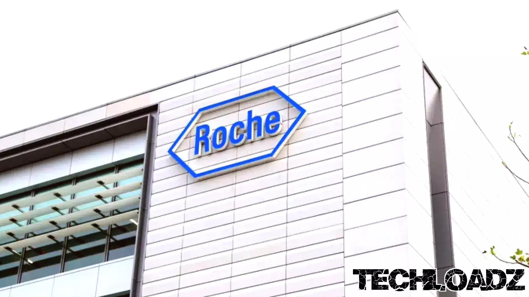 Wafaa Mamilli to Lead Digital Technology at Roche